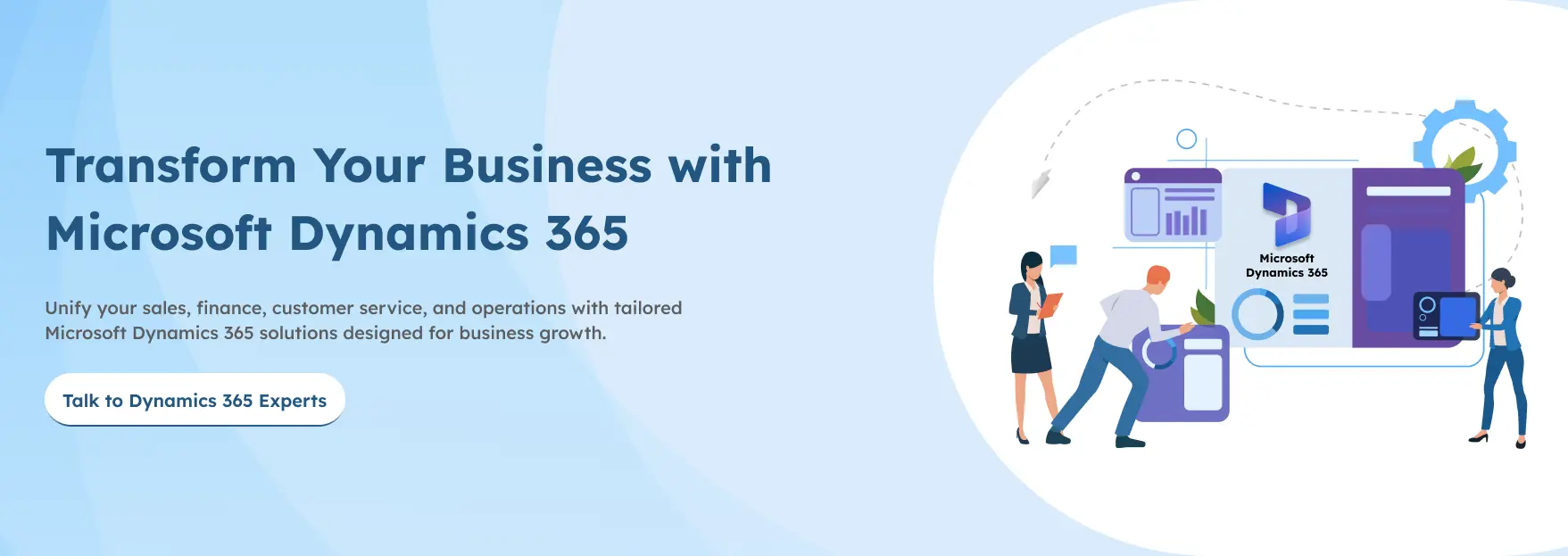 Microsoft Dynamics 365 Development Services